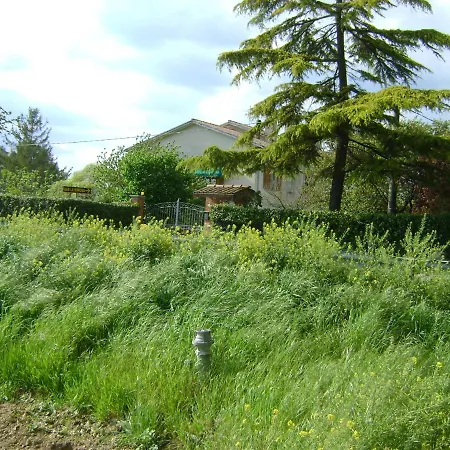 B&B La Mimosa-3