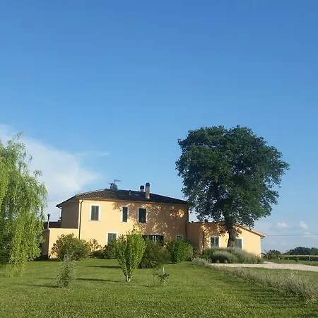 B&B Le Rose-2