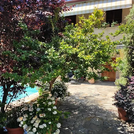 Villamena-3